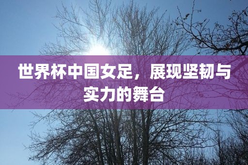 世界杯中国女足，展现坚韧与实力的舞台