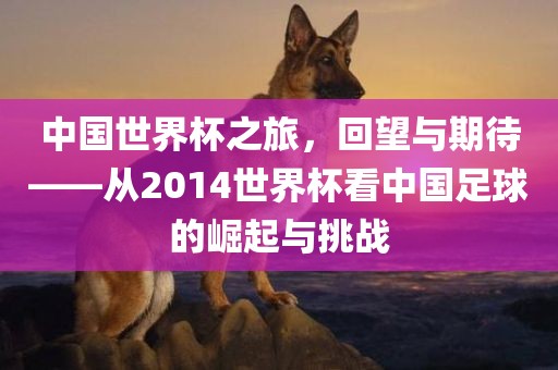 中国世界杯之旅，回望与期待——从2014世界杯看中国足球的崛起与挑战