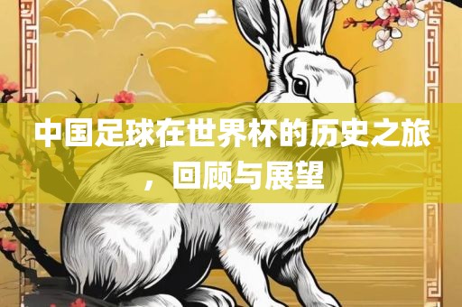 中国足球在世界杯的历史之旅，回顾与展望