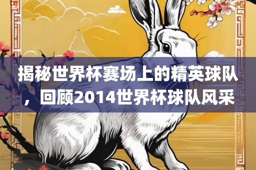 揭秘世界杯赛场上的精英球队，回顾2014世界杯球队风采