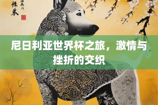 尼日利亚世界杯之旅，激情与挫折的交织