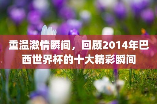 重温激情瞬间，回顾2014年巴西世界杯的十大精彩瞬间