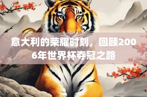 意大利的荣耀时刻，回顾2006年世界杯夺冠之路