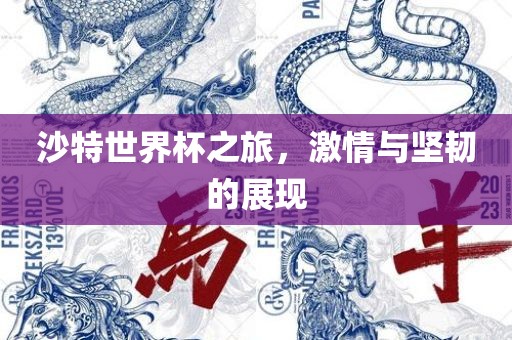 沙特世界杯之旅，激情与坚韧的展现