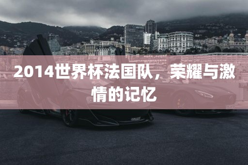 2014世界杯法国队，荣耀与激情的记忆