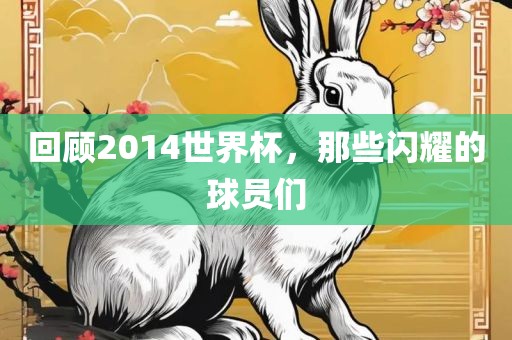 回顾2014世界杯，那些闪耀的球员们