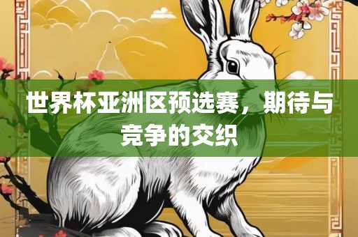 世界杯亚洲区预选赛，期待与竞争的交织