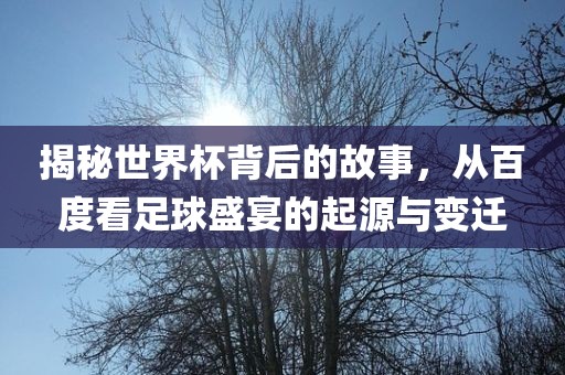 揭秘世界杯背后的故事，从百度看足球盛宴的起源与变迁