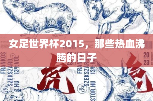 女足世界杯2015，那些热血沸腾的日子
