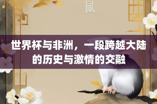 世界杯与非洲，一段跨越大陆的历史与激情的交融