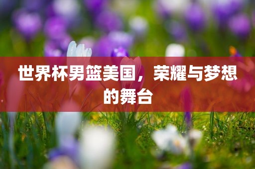 世界杯男篮美国，荣耀与梦想的舞台