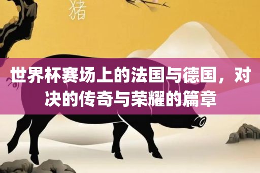 世界杯赛场上的法国与德国，对决的传奇与荣耀的篇章