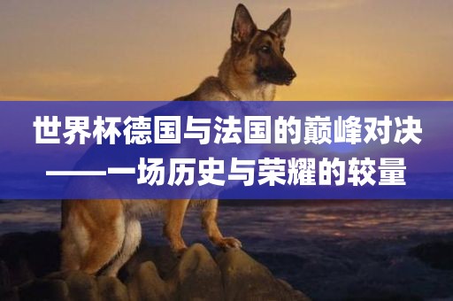 世界杯德国与法国的巅峰对决——一场历史与荣耀的较量