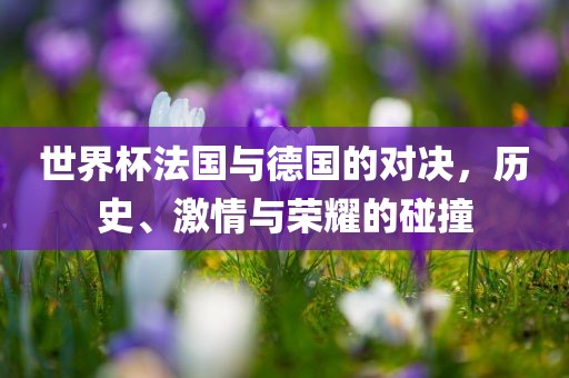 世界杯法国与德国的对决，历史、激情与荣耀的碰撞