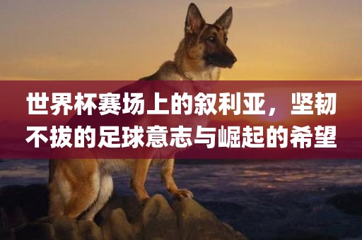 世界杯赛场上的叙利亚，坚韧不拔的足球意志与崛起的希望