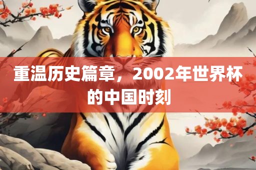 重温历史篇章，2002年世界杯的中国时刻