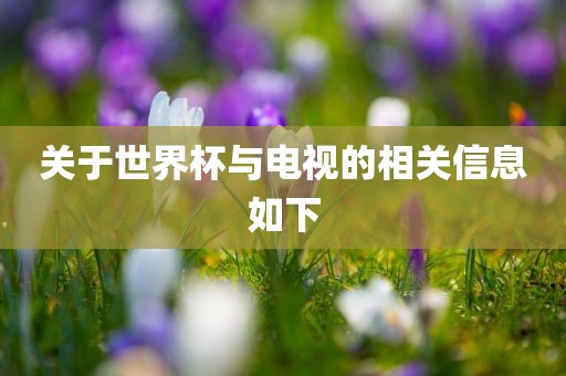 关于世界杯与电视的相关信息如下