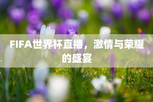 FIFA世界杯直播，激情与荣耀的盛宴