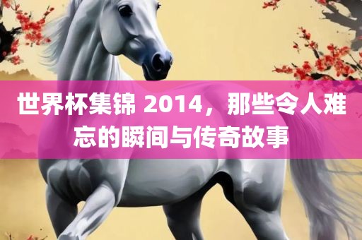 世界杯集锦 2014，那些令人难忘的瞬间与传奇故事