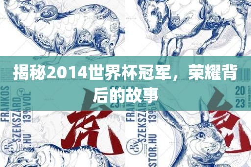 揭秘2014世界杯冠军，荣耀背后的故事