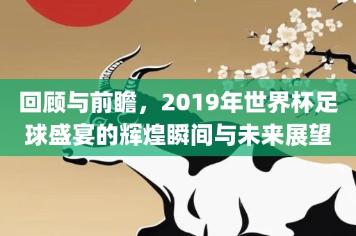 回顾与前瞻，2019年世界杯足球盛宴的辉煌瞬间与未来展望