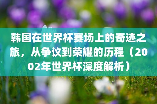 韩国在世界杯赛场上的奇迹之旅，从争议到荣耀的历程（2002年世界杯深度解析）
