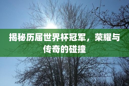揭秘历届世界杯冠军，荣耀与传奇的碰撞