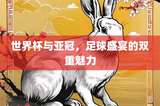 世界杯与亚冠，足球盛宴的双重魅力