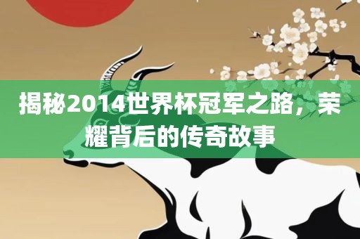 揭秘2014世界杯冠军之路，荣耀背后的传奇故事