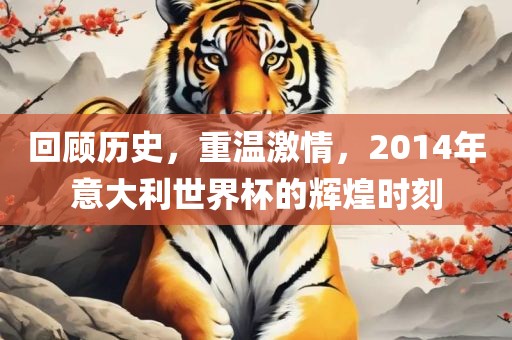 回顾历史，重温激情，2014年意大利世界杯的辉煌时刻