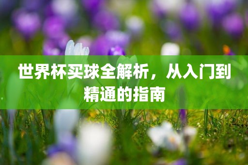世界杯买球全解析，从入门到精通的指南眉山市正发家政服务有限公司