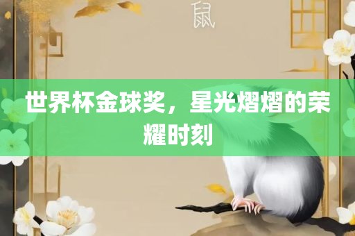 世界杯金球奖，星光熠熠的荣耀时刻