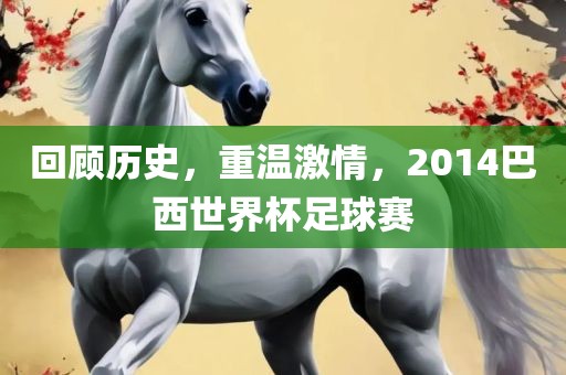 回顾历史，重温激情，2014巴西世界杯足球赛