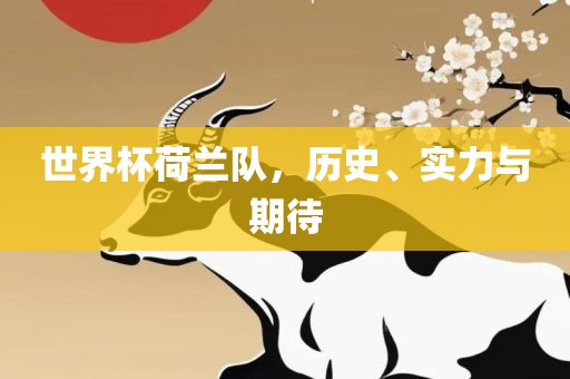 世界杯荷兰队，历史、实力与期待