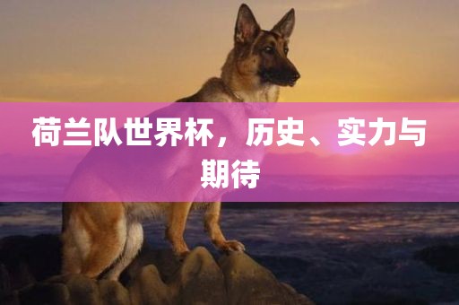 荷兰队世界杯，历史、实力与期待