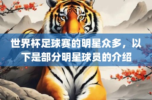 世界杯足球赛的明星众多，以下是部分明星球员的介绍