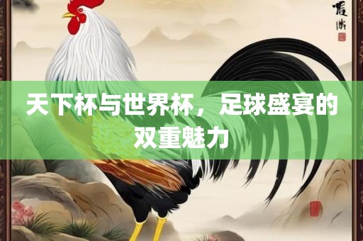 天下杯与世界杯，足球盛宴的双重魅力