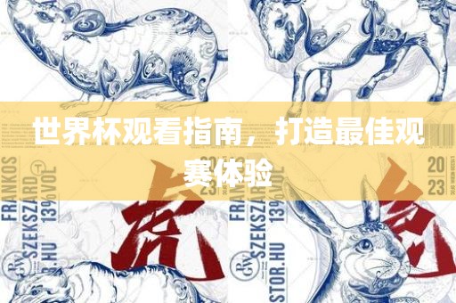 世界杯观看指南，打造最佳观赛体验