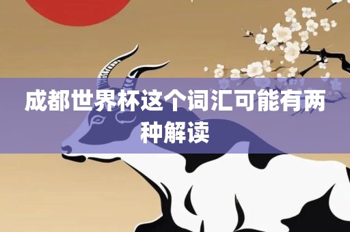成都世界杯这个词汇可能有两种解读