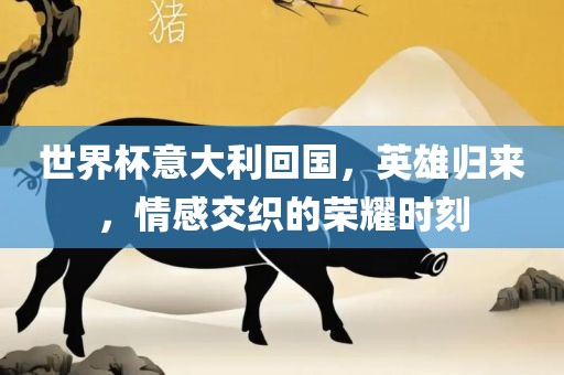 世界杯意大利回国，英雄归来，情感交织的荣耀时刻