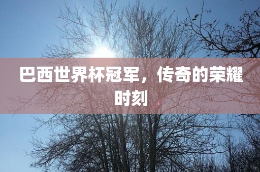 巴西世界杯冠军，传奇的荣耀时刻