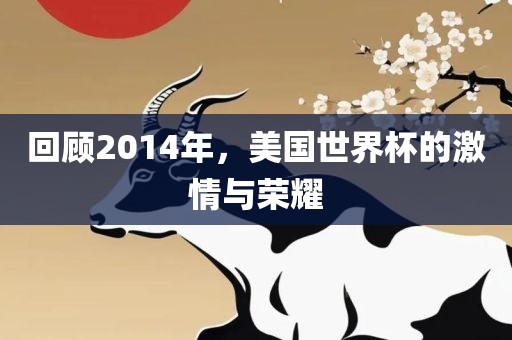 回顾2014年，美国世界杯的激情与荣耀