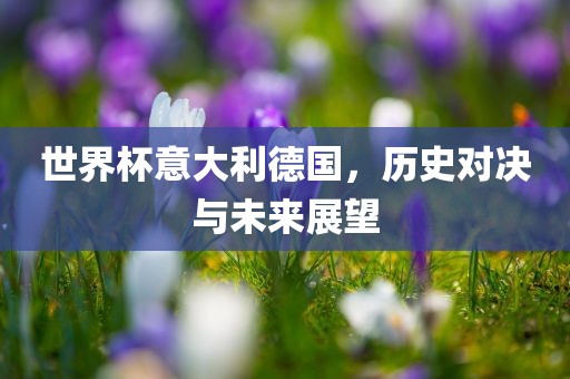 世界杯意大利德国，历史对决与未来展望