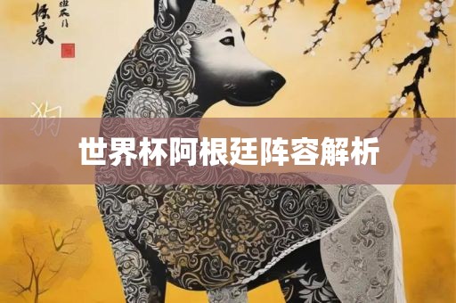 世界杯阿根廷阵容解析