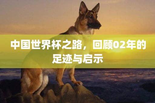 中国世界杯之路，回顾02年的足迹与启示