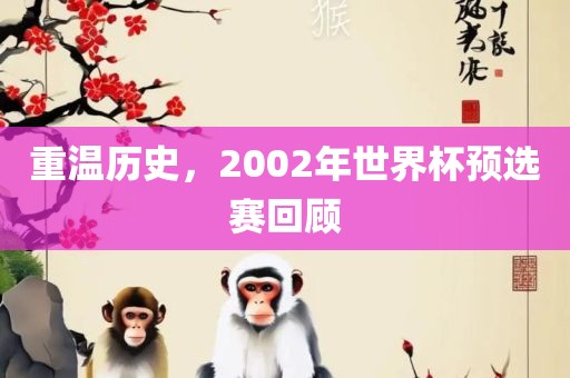 重温历史，2002年世界杯预选赛回顾
