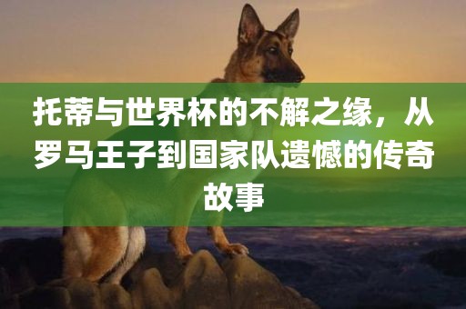 托蒂与世界杯的不解之缘，从罗马王子到国家队遗憾的传奇故事