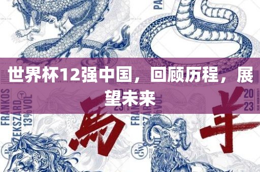 世界杯12强中国，回顾历程，展望未来