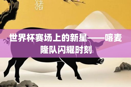 世界杯赛场上的新星——喀麦隆队闪耀时刻