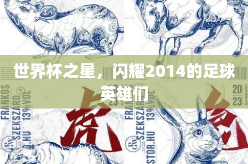 世界杯之星，闪耀2014的足球英雄们